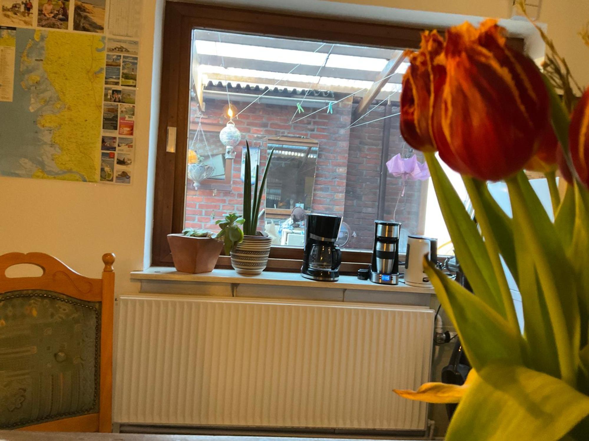 Privartzimmer 'Ausfahrt Freihalten' Husum  Extérieur photo